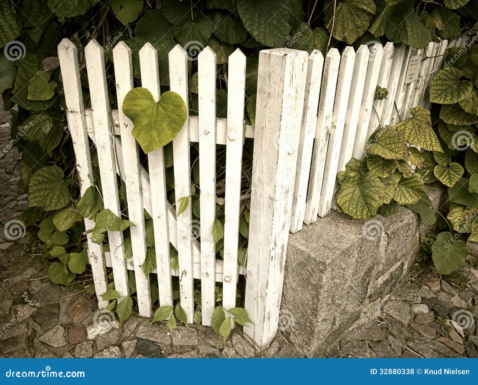 Garden gate retro stock photo. Image of entrance, painted - 32880338