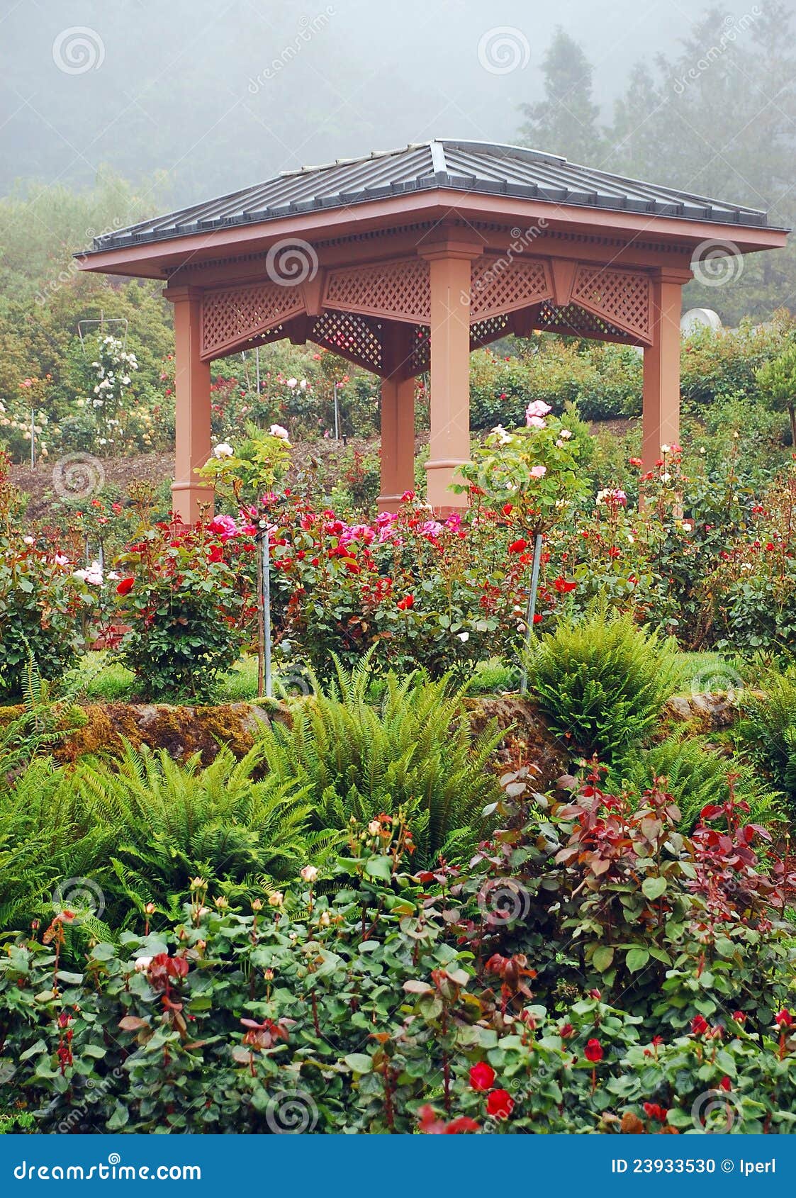 Gazebo In The Rose Garden At Descanso Gardens RoyaltyFree Stock