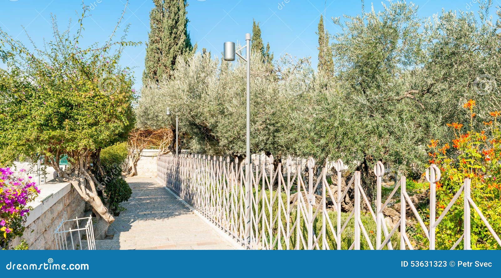 free clipart garden of gethsemane - photo #31