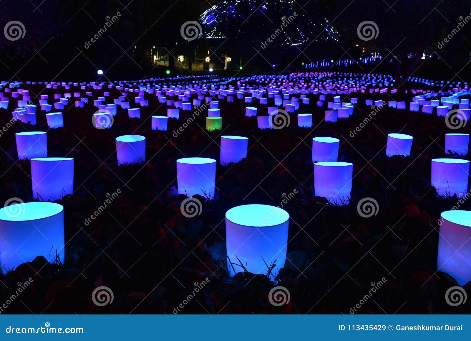 Garden Glow Lights In Missouri Botanic Garden Editorial Stock