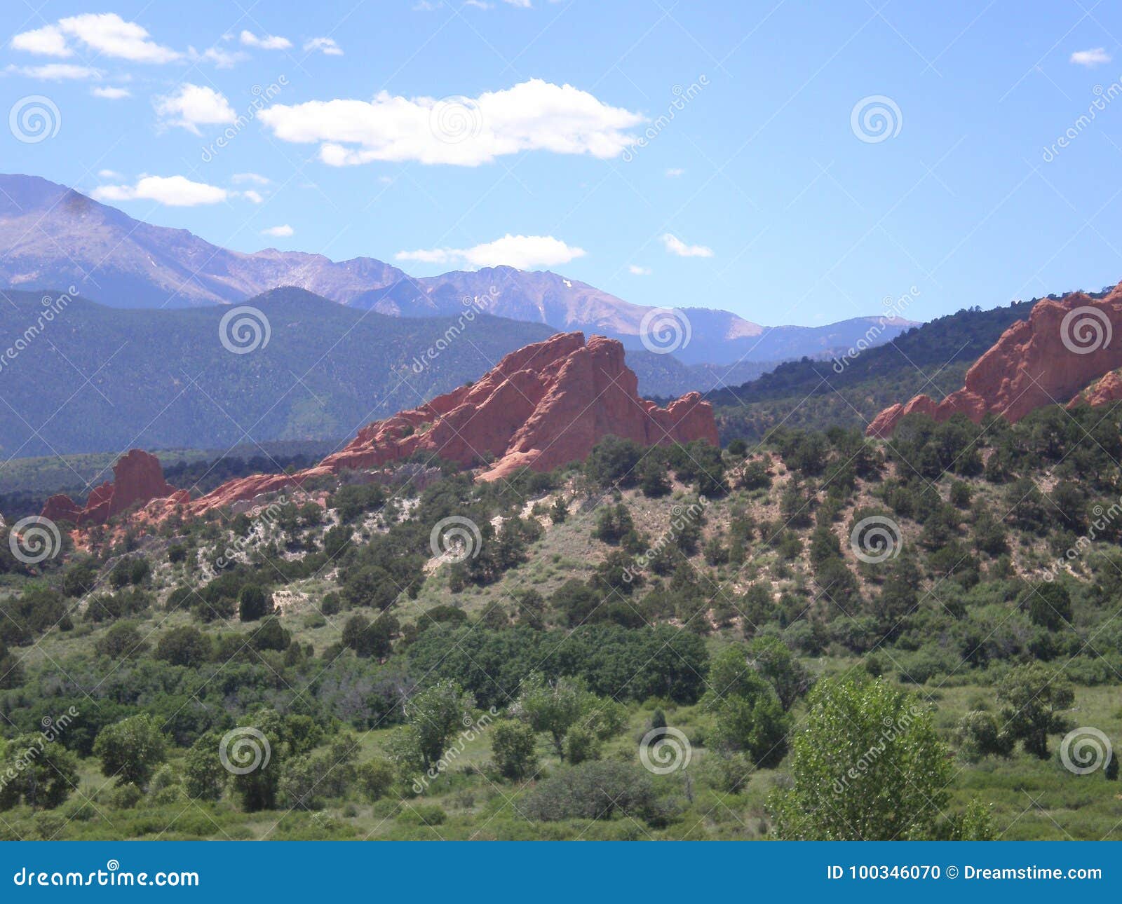 Garden Of The Gods Stock Photo Image Of Scrub Green 100346070