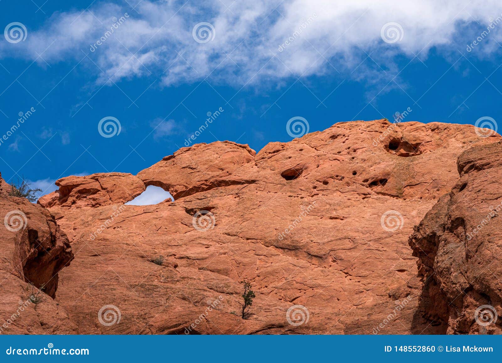 Kissing Camels At Garden Of The Gods Colorado Springs Rocky