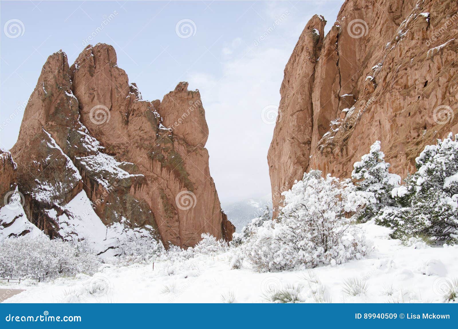 Garden Of The Gods Park In Winter Stock Image Image Of Snowy