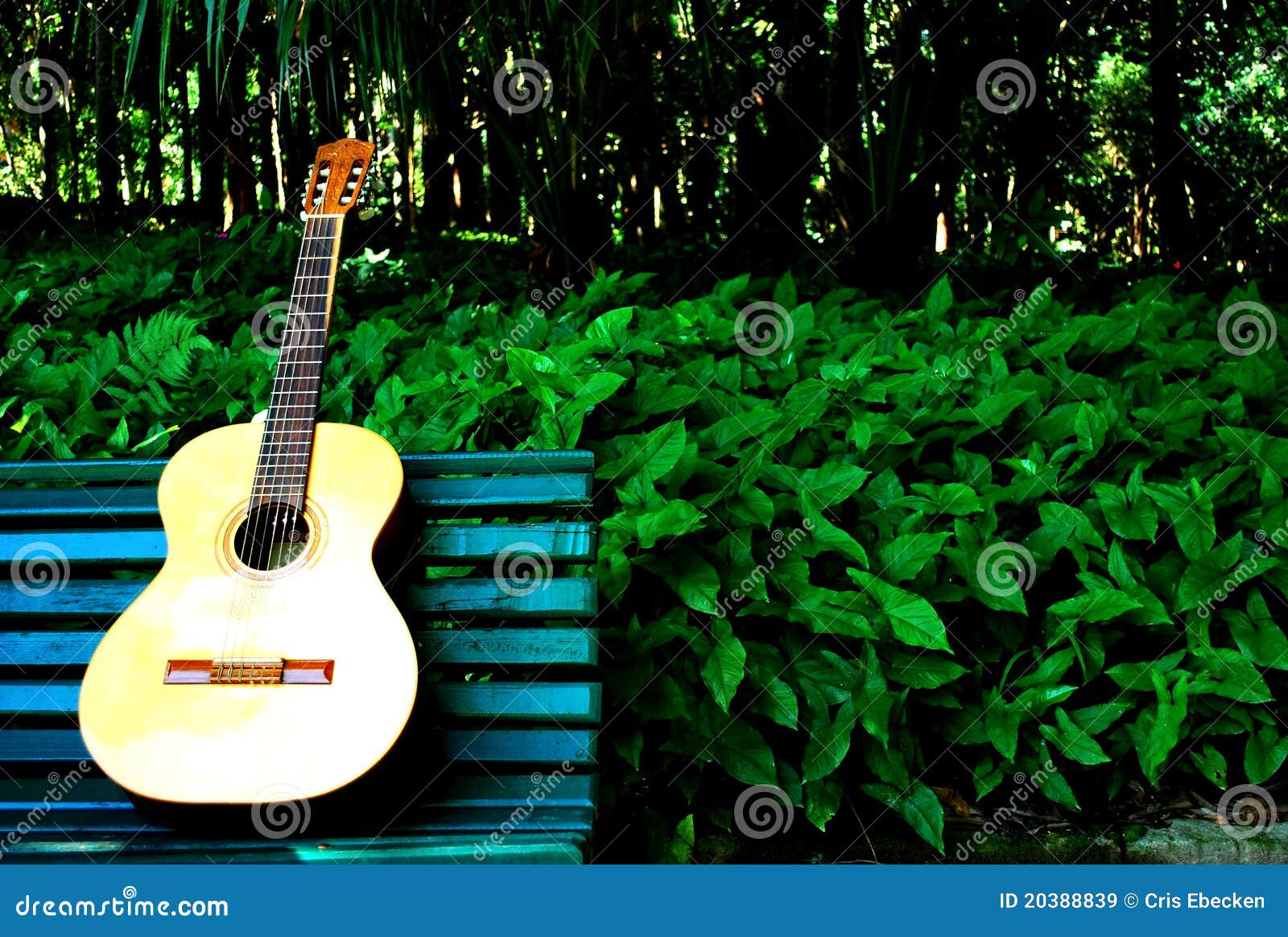 Garden guitar stock image. Image of sound, harmony, guitar 20388839