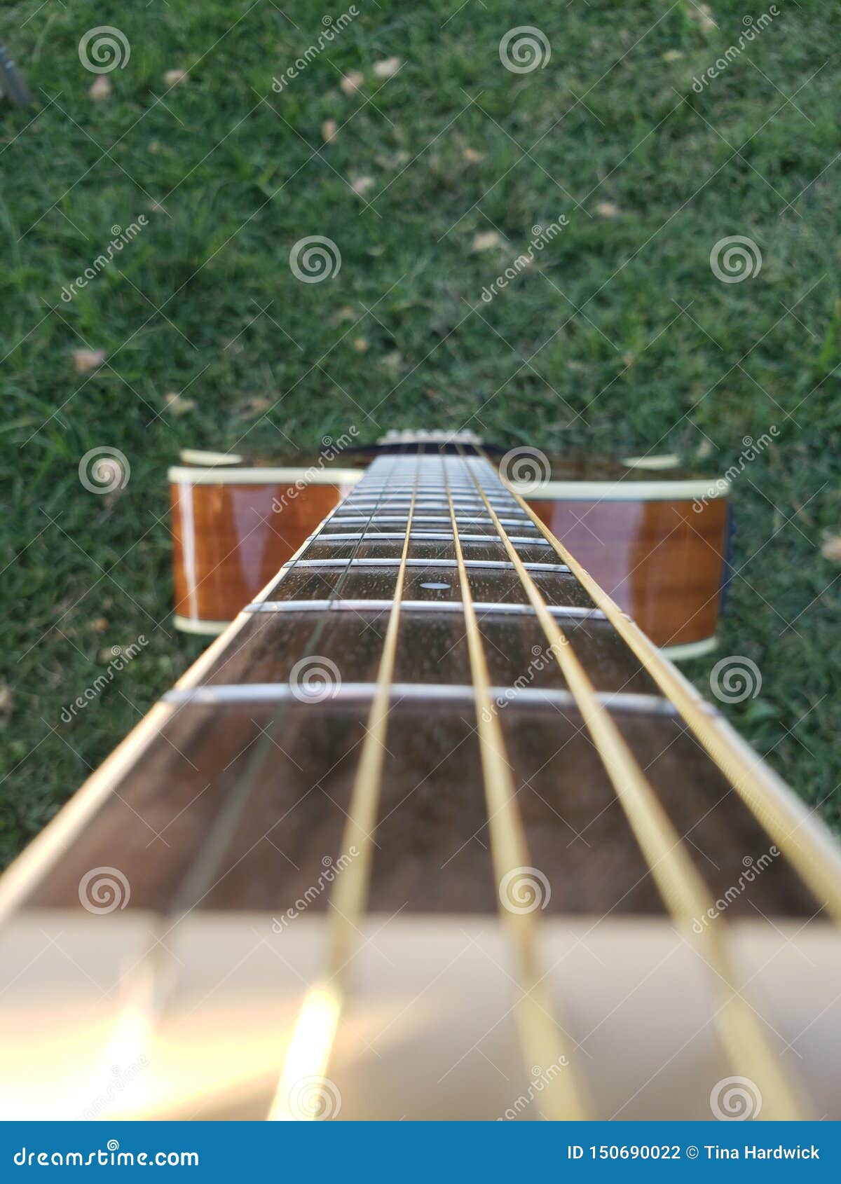 Garden Guitar with Heavenly Strings Stock Photo Image of heavenly