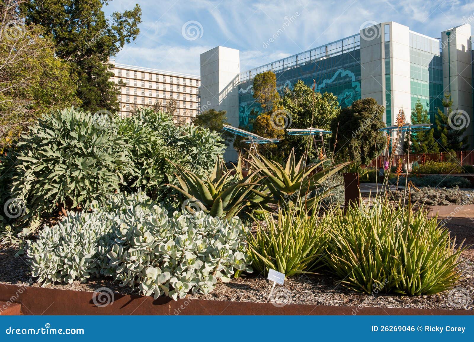 Garden of Health in Adelaide