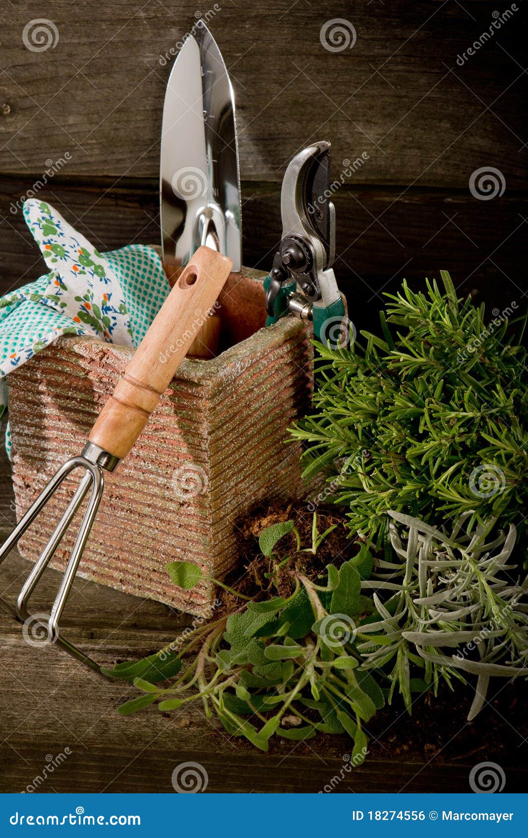 Garden herbs with utensil stock photo. Image of horticulture 18274556