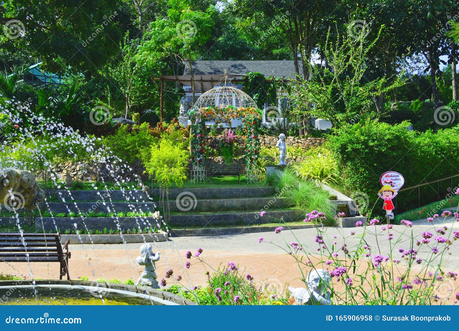 a garden on highland in thailand