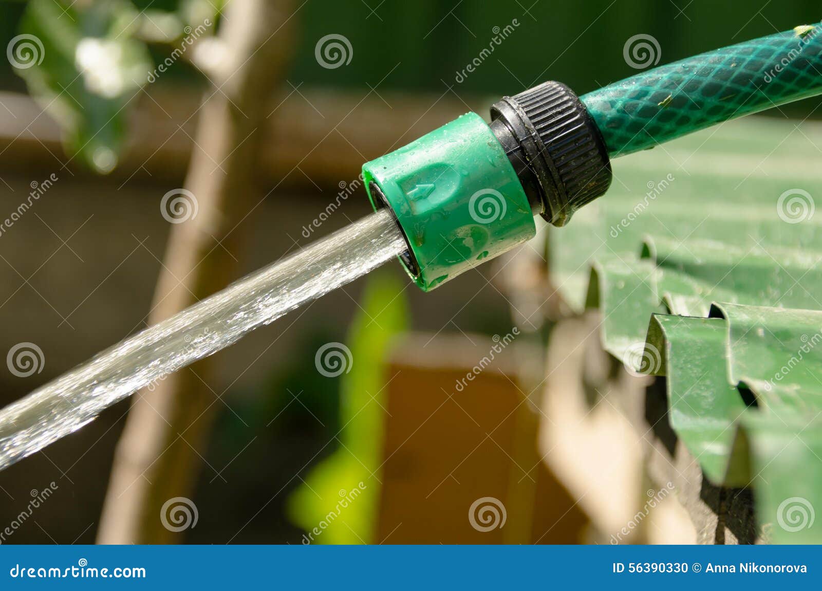 Garden Hose, The Water Pressure Stock Photo - Image of cultivated