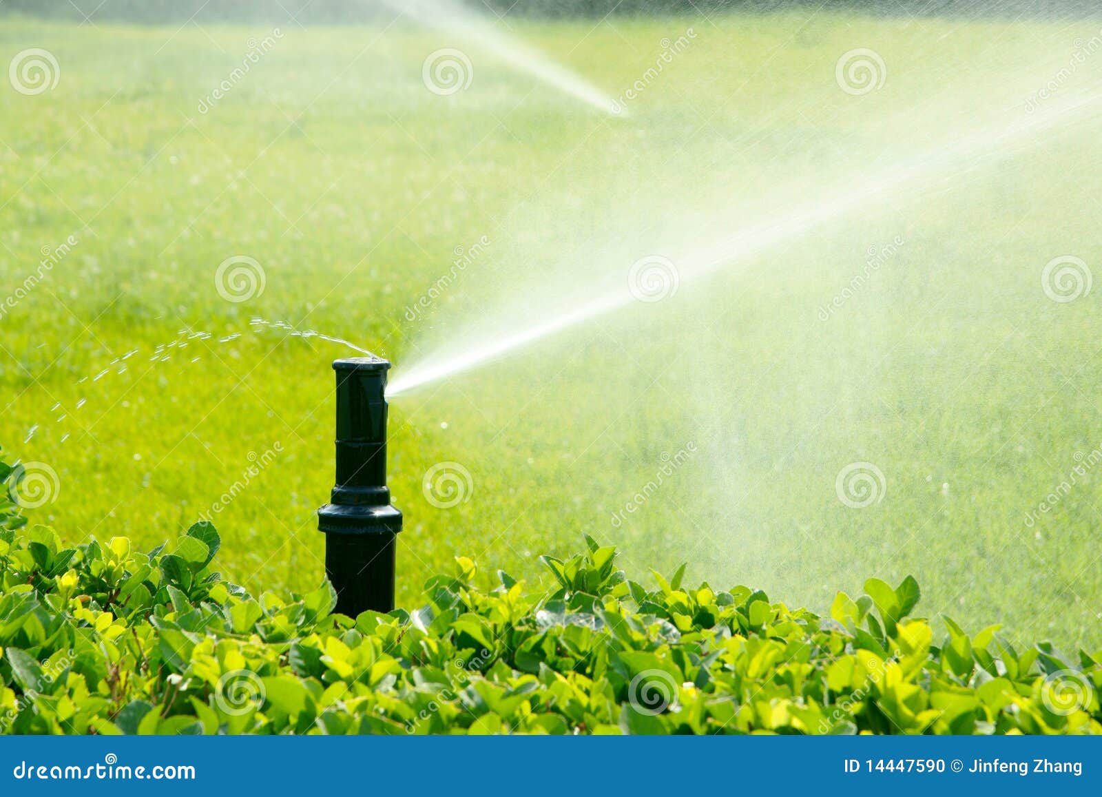 garden irrigation