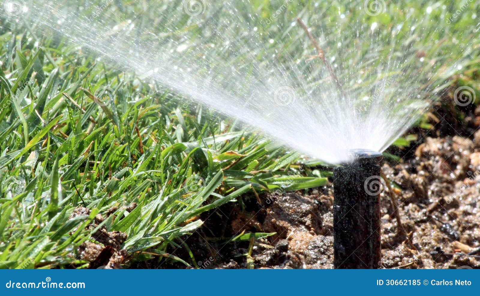 Garden Irrigation Spray System Watering Lawn Stock Image Image of