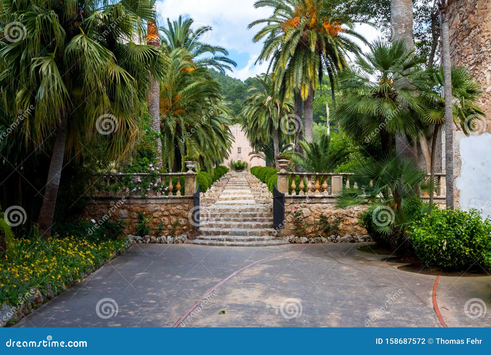 the garden of jardines de alfabia