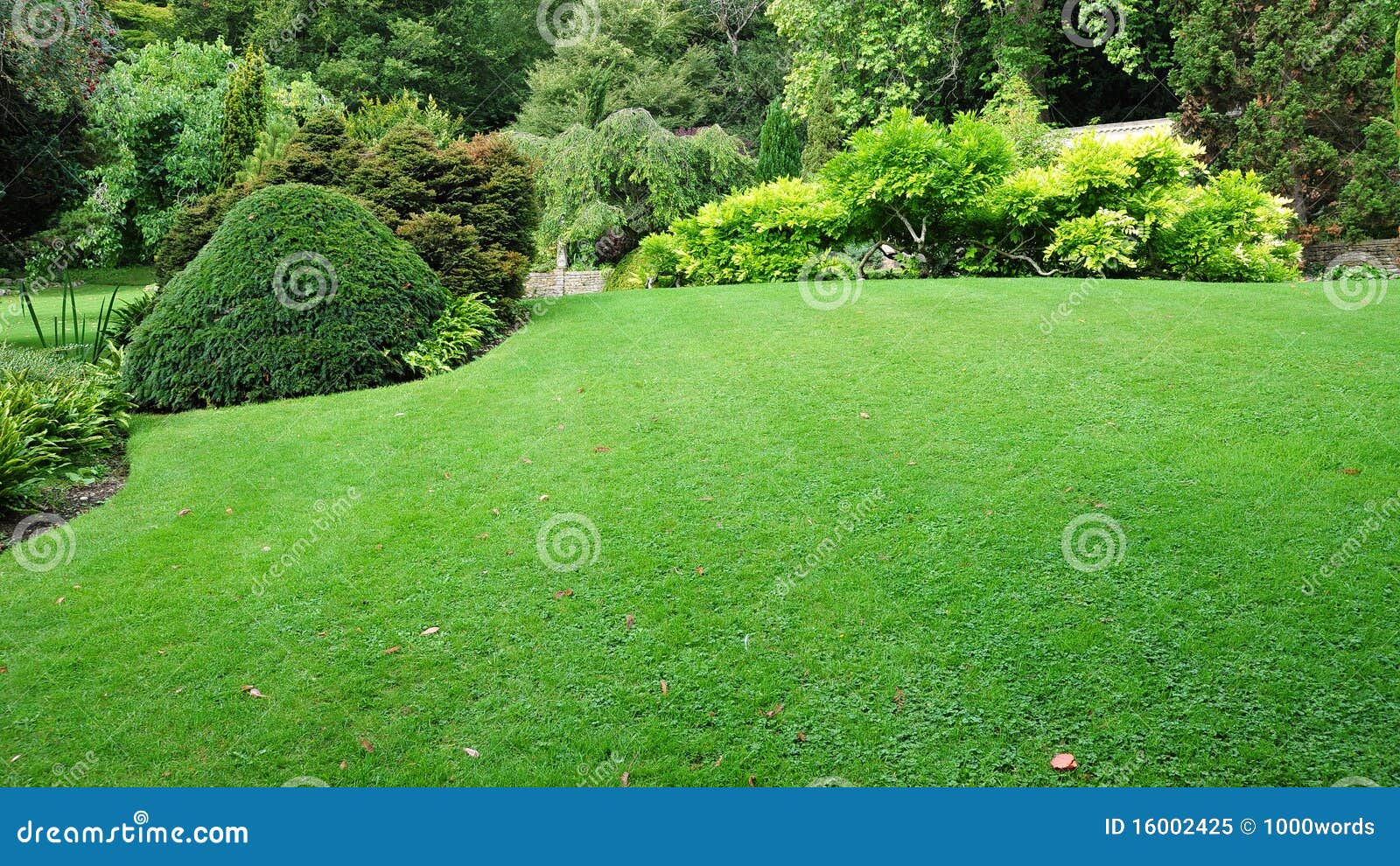 Garden Lawn stock image. Image of foliage, green, architecture 16002425
