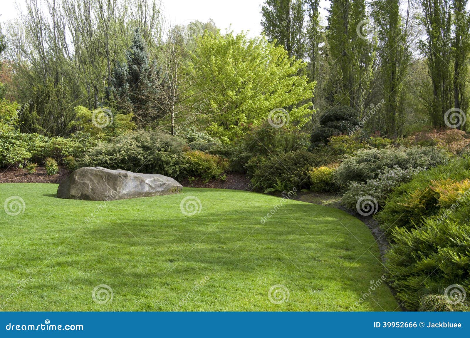 Garden Lawn after Spring Rain Stock Photo Image of healthy, growing
