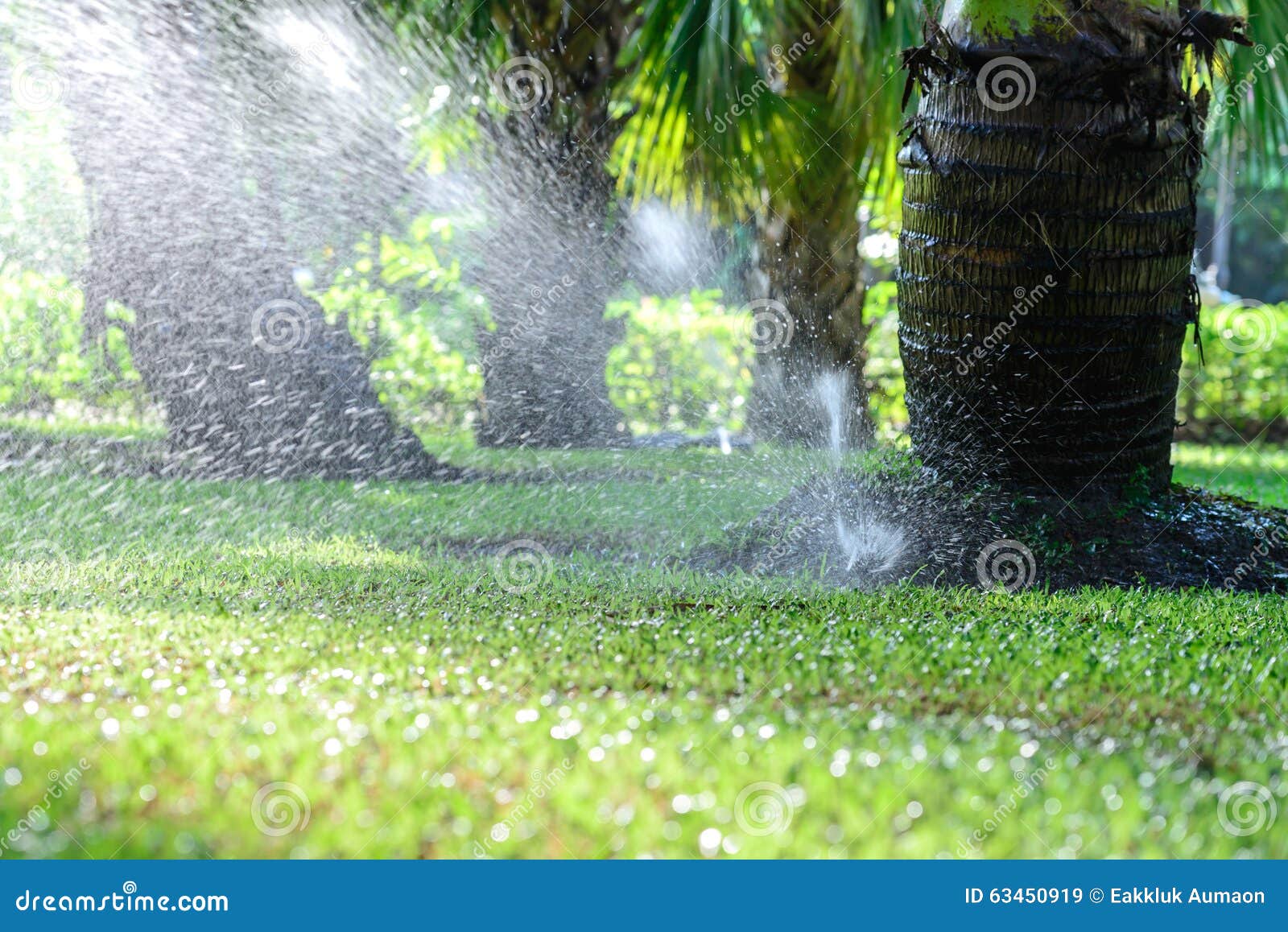 Garden Lawn Water Sprinkler System Stock Image Image of equipment