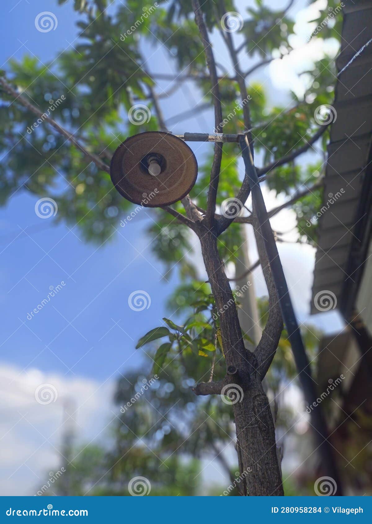 Garden Lights Under the Trees, To Shine in Every Dark Night Stock Photo