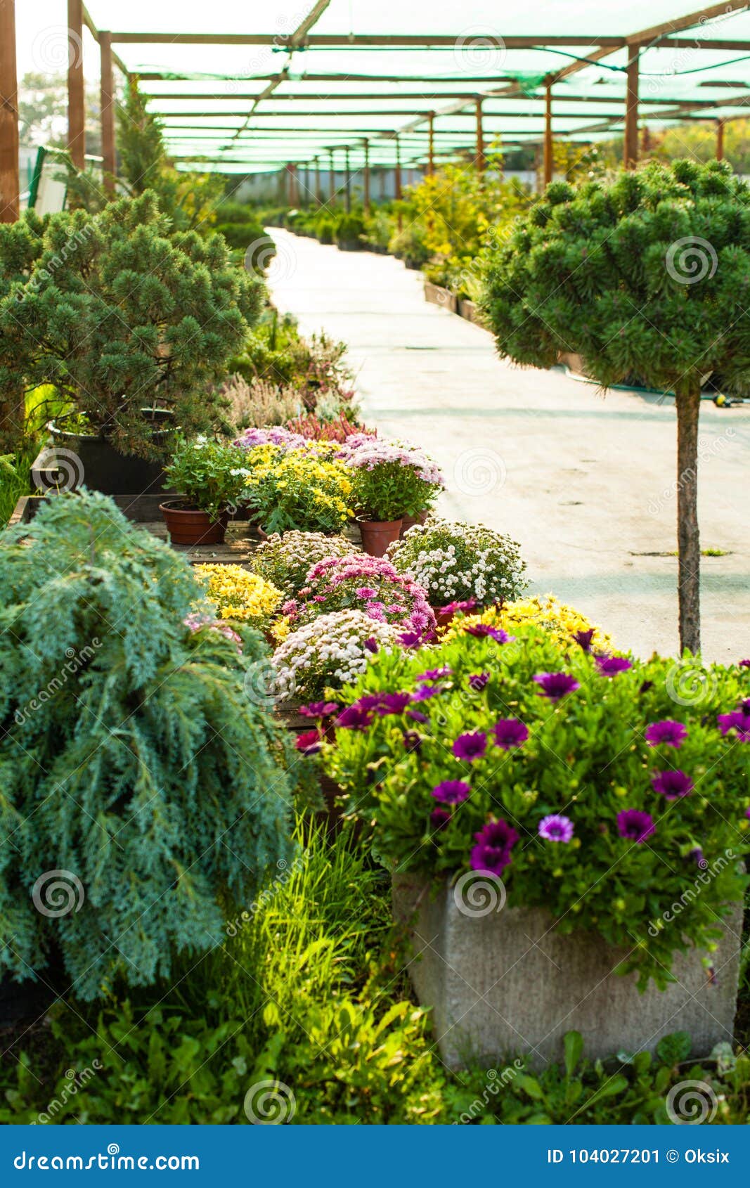 garden market outdoor stock image. image of ecology - 104027201