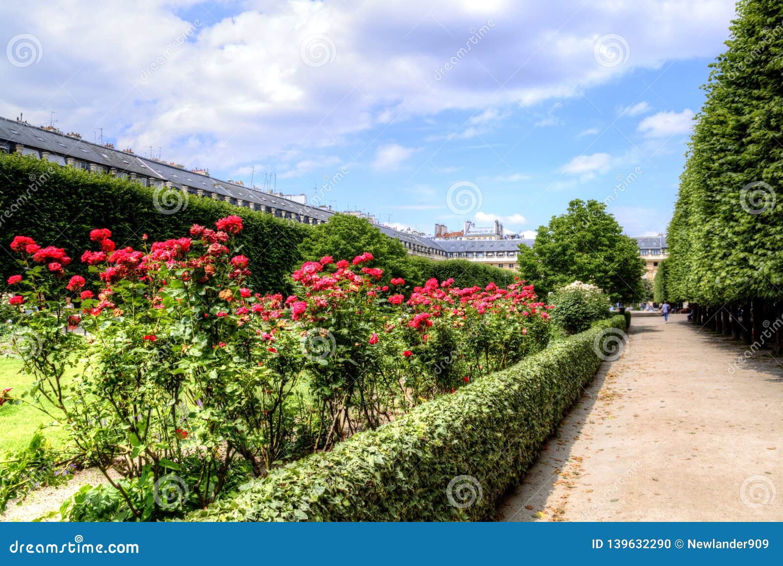 Roses In Palais Royal Garden In Center Of Paris France Stock