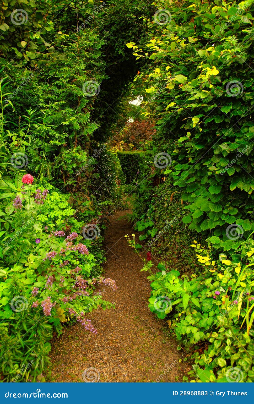 Garden passage stock image. Image of lush, sunshine, flower 28968883
