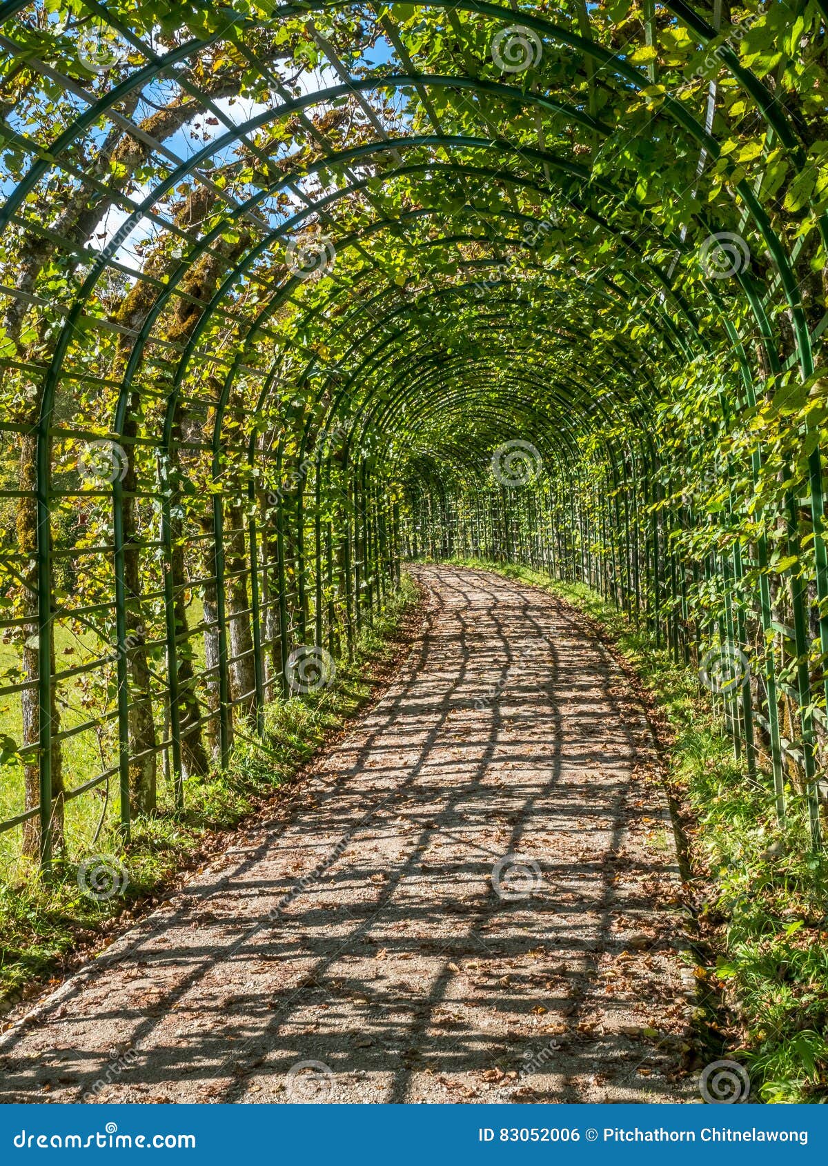 Garden Passage in Linderhof Palace Editorial Photo Image of