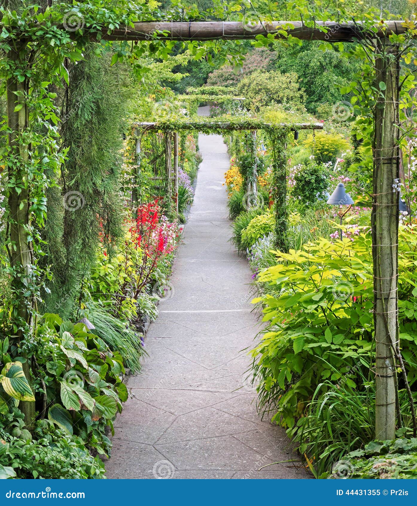Garden passage stock image. Image of lush, wooden, bush 44431355