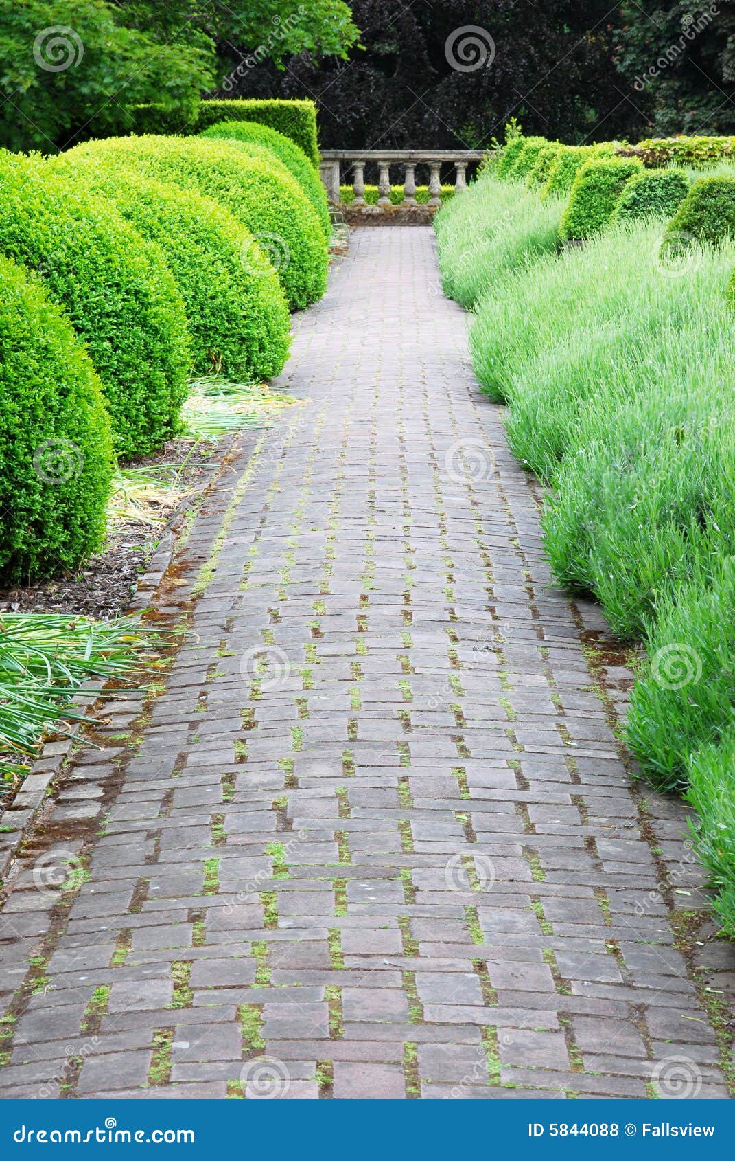 Garden Path in Hatley Castle Stock Photo Image of historical, garden