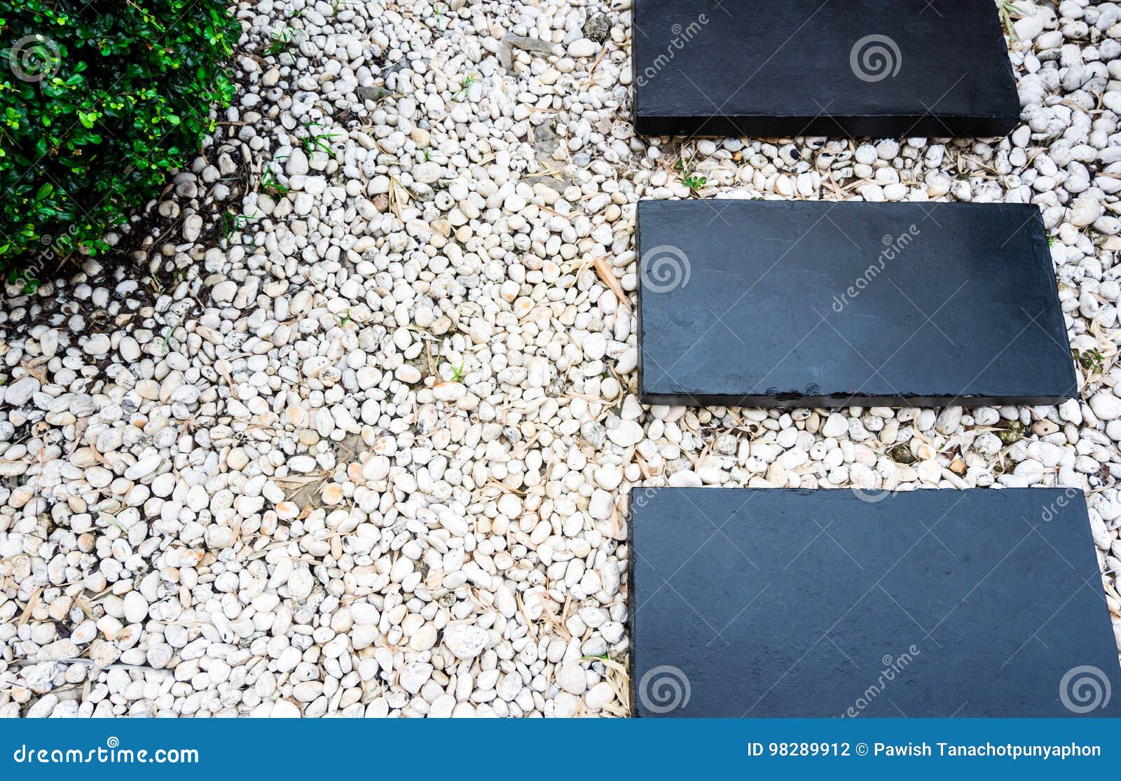 Garden Path On White Pebbles And Lush Green Trees Stock Photo