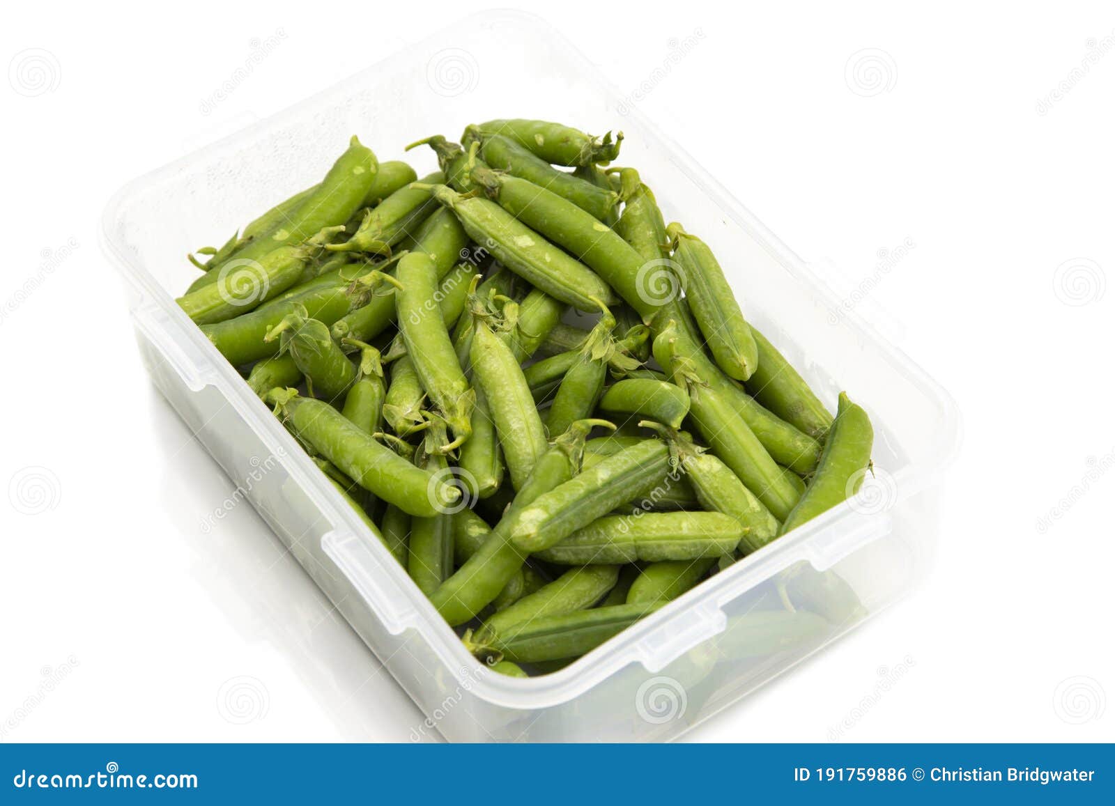 Garden Peas in Pods Freshly Picked in a Plastic Container, Isolated on ...