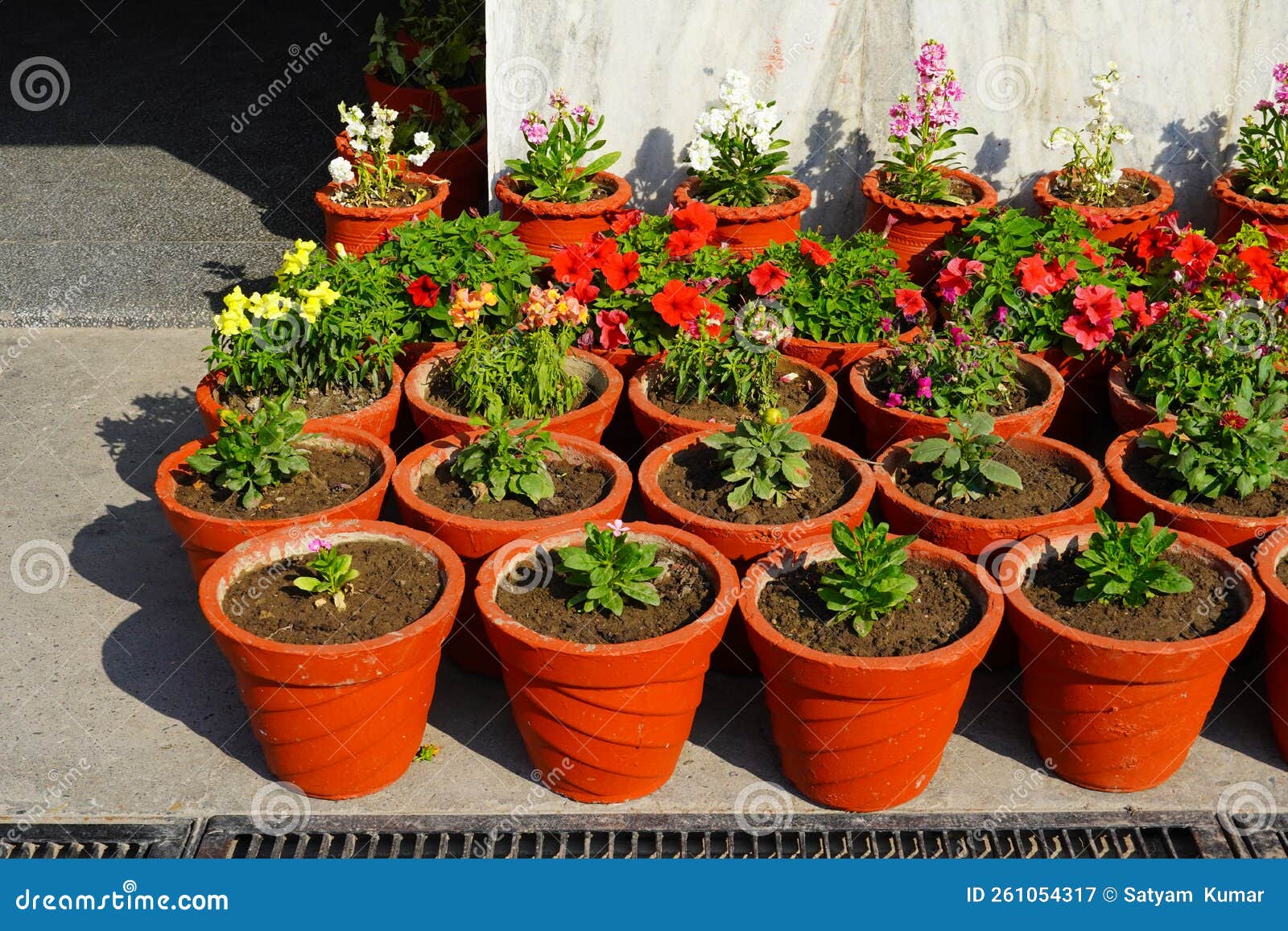 Garden and Plant Nursery Image HD Stock Image Image of garden, nature