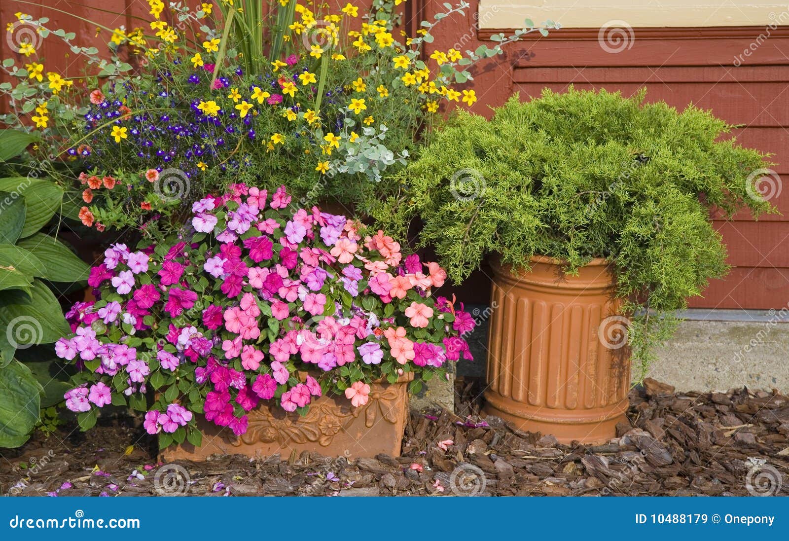 Garden Planters stock image. Image of gardening, petunia 10488179