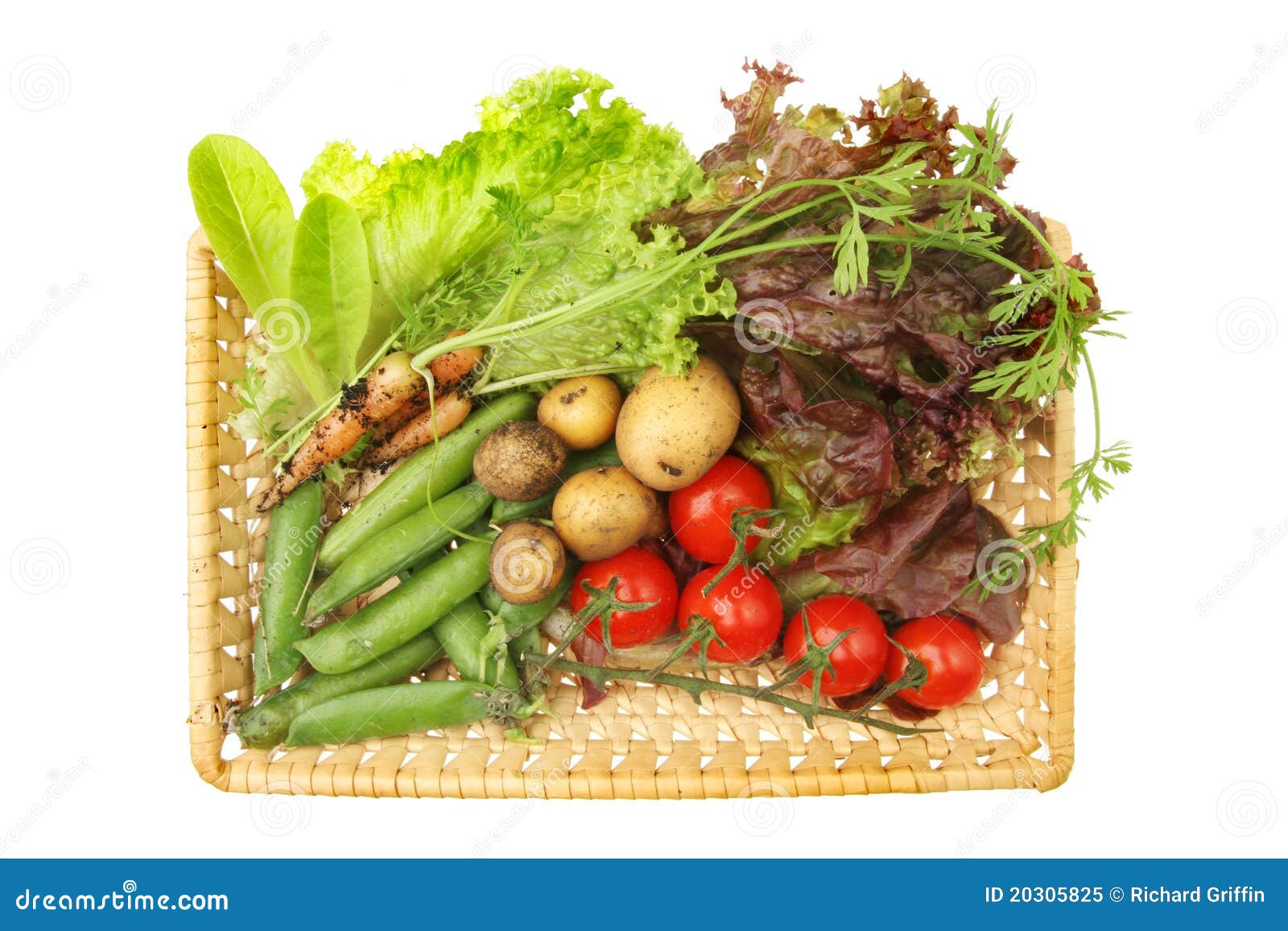 Garden produce stock image. Image of salad, produce, white 20305825