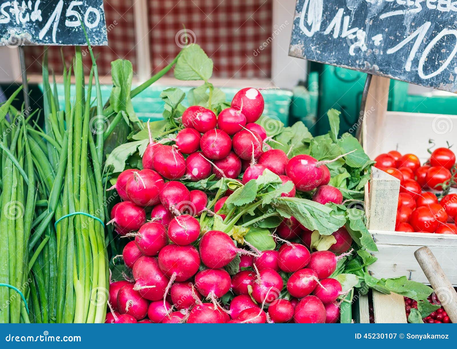 Onion Market