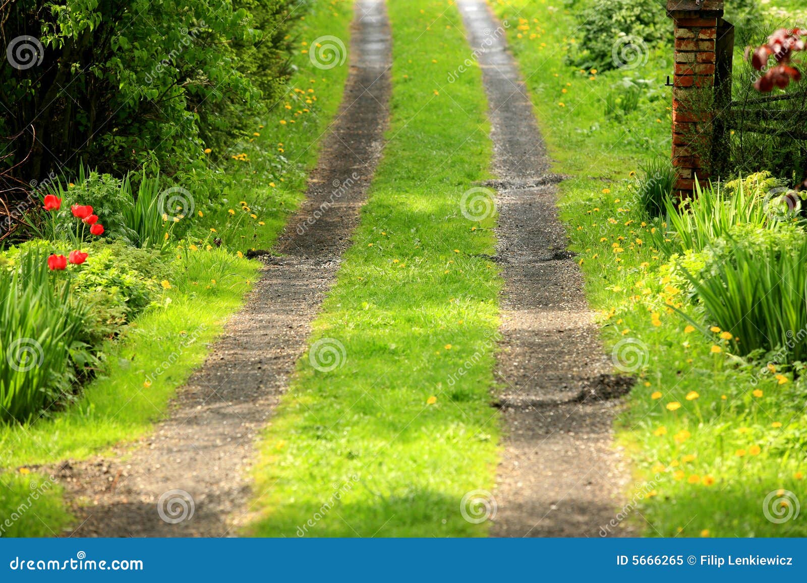 Garden road stock image. Image of path, green, road, plants 5666265