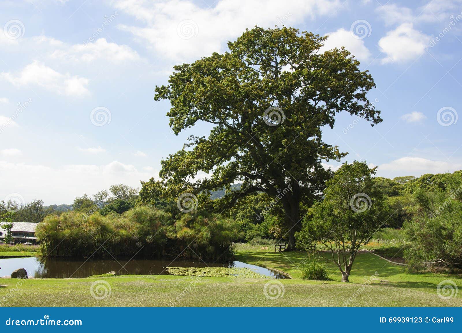 Garden Scenery and Blue Sky Background Stock Image Image of natural