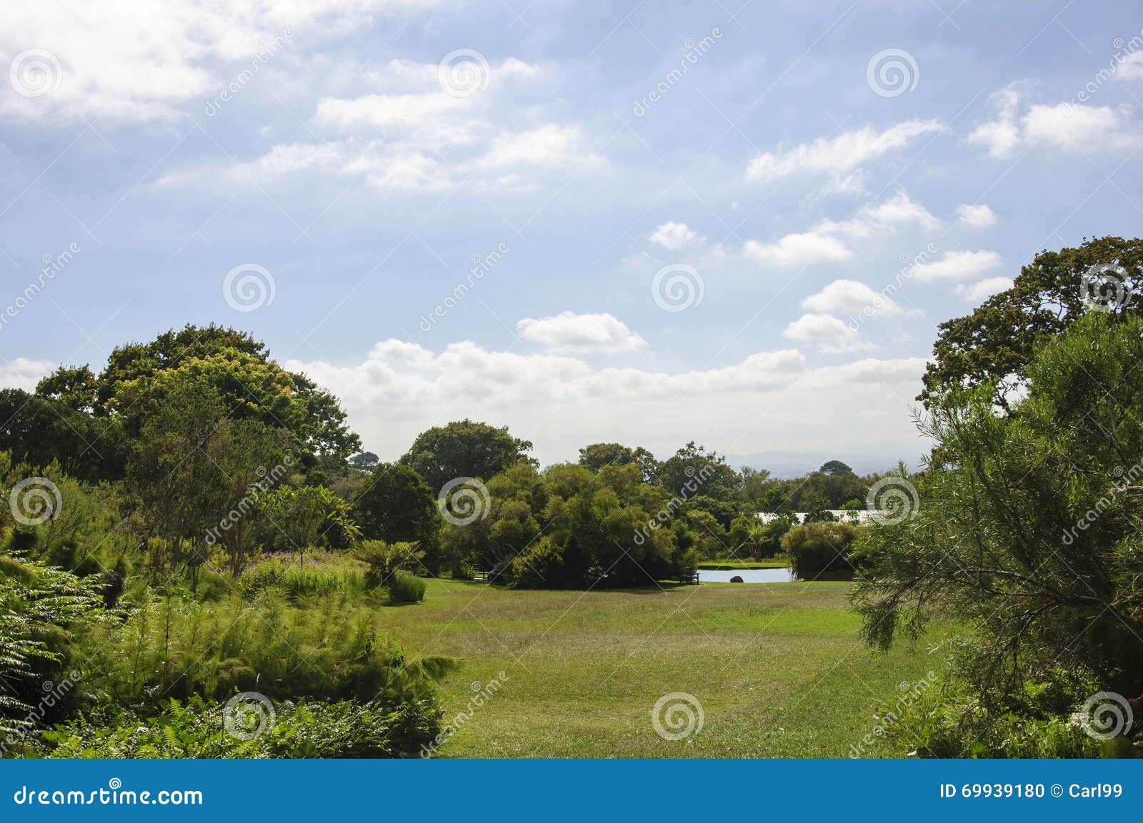 Garden Scenery and Blue Sky Background Stock Photo Image of nature