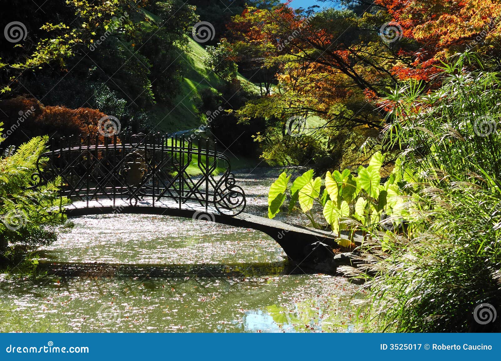 Garden See stockbild. Bild von blatt, grün, landschaft 3525017