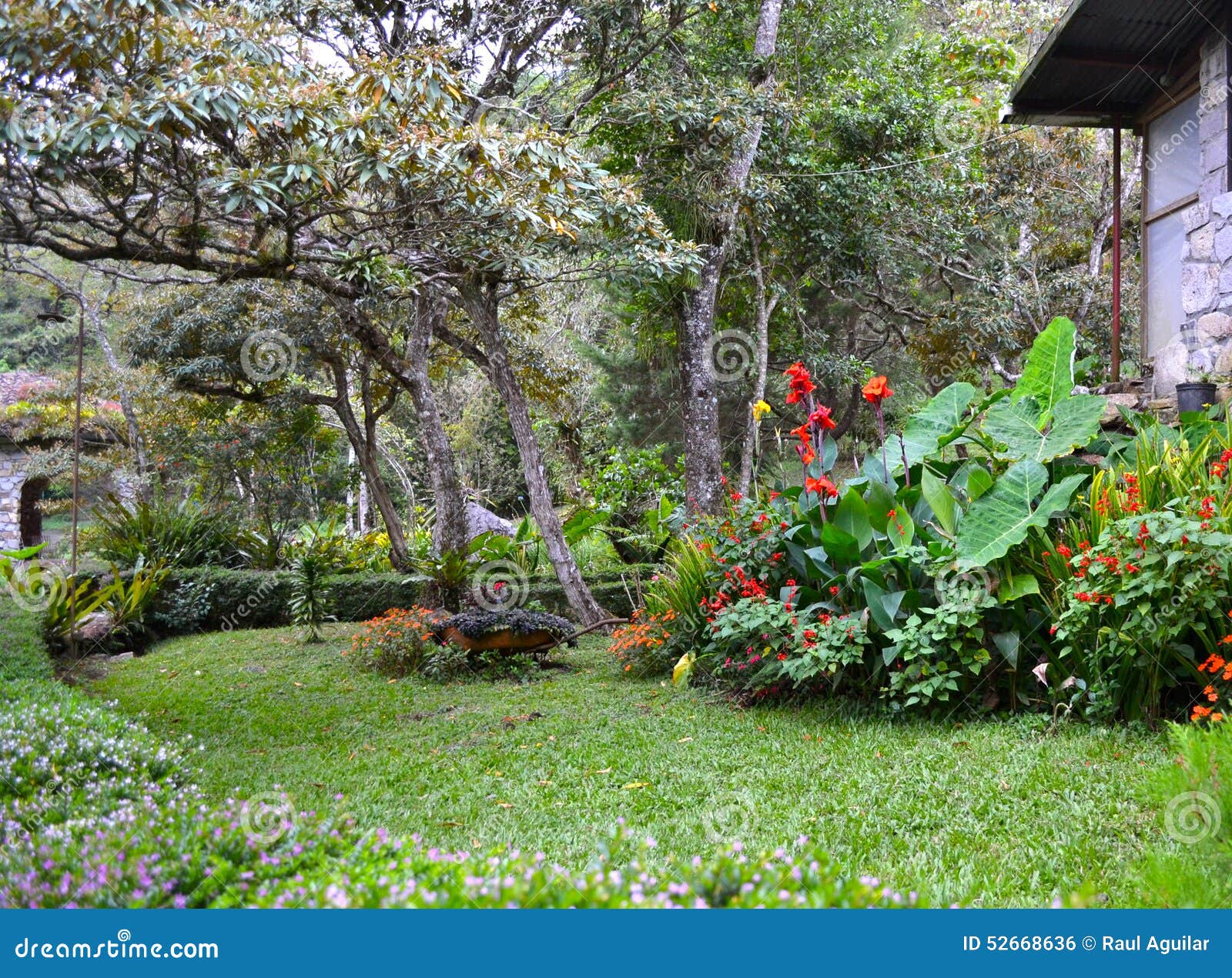 Garden in Selva Negra (Ecolodge), Matagalpa, Nicaragua. Stock Photo ...