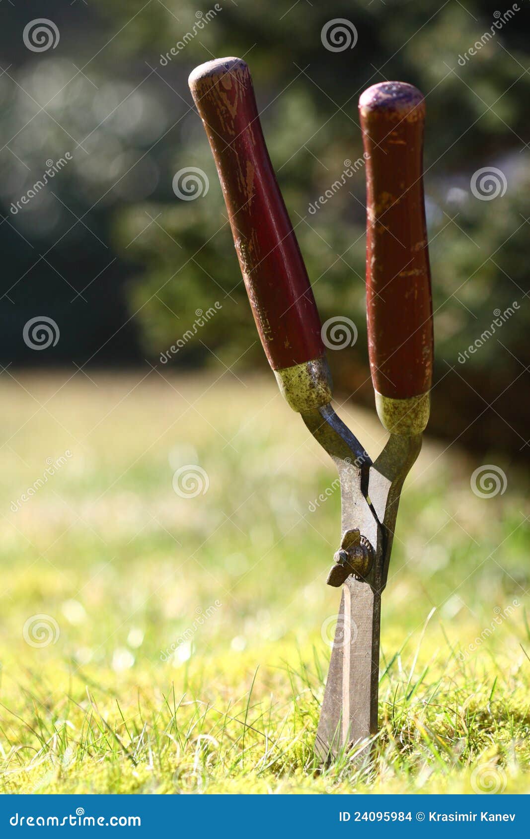 Garden shears stock photo. Image of growth, clippers 24095984