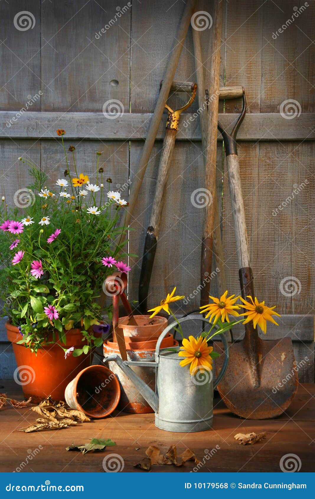 garden shed with tools and pots