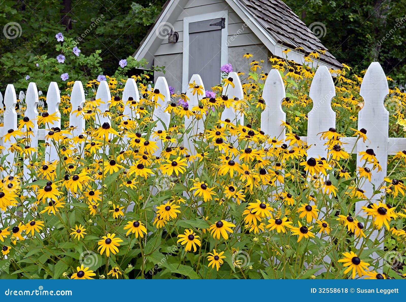 garden shed royalty free stock photos - image: 32558618