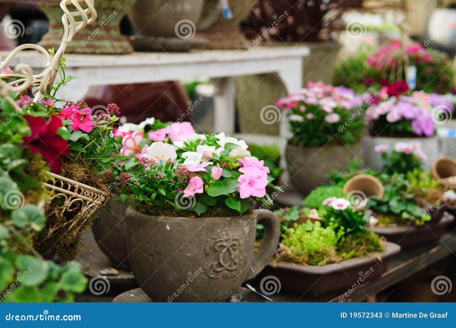 Garden shop stock image. Image of pots, stock, display 19572343