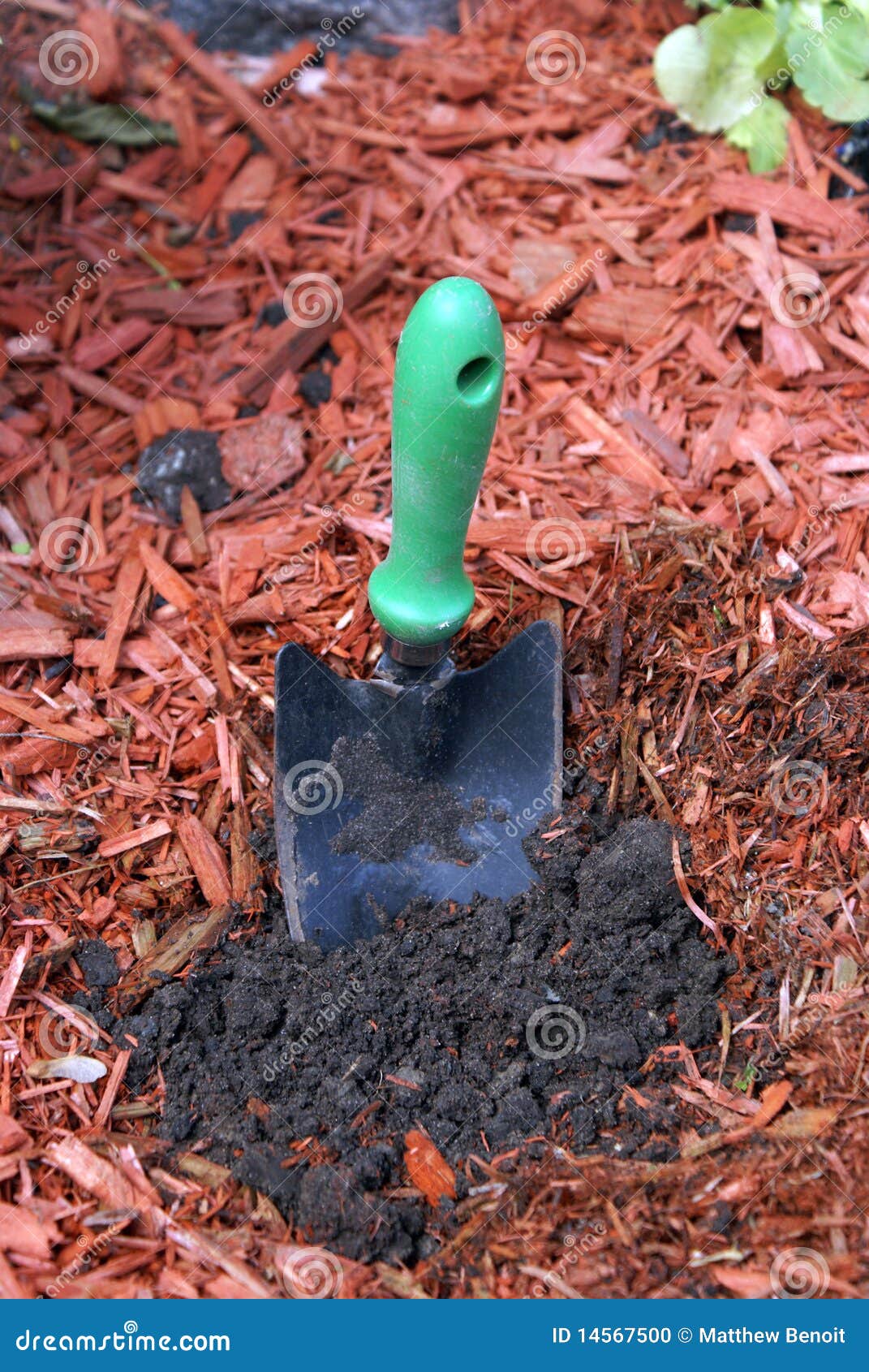 Garden Shovel stock photo. Image of home, wood, shovel 14567500