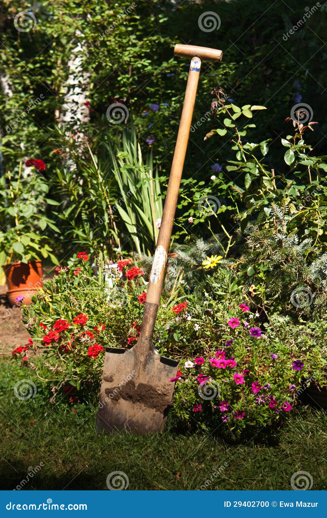 Garden shovel stock photo. Image of planter, plant, grub 29402700
