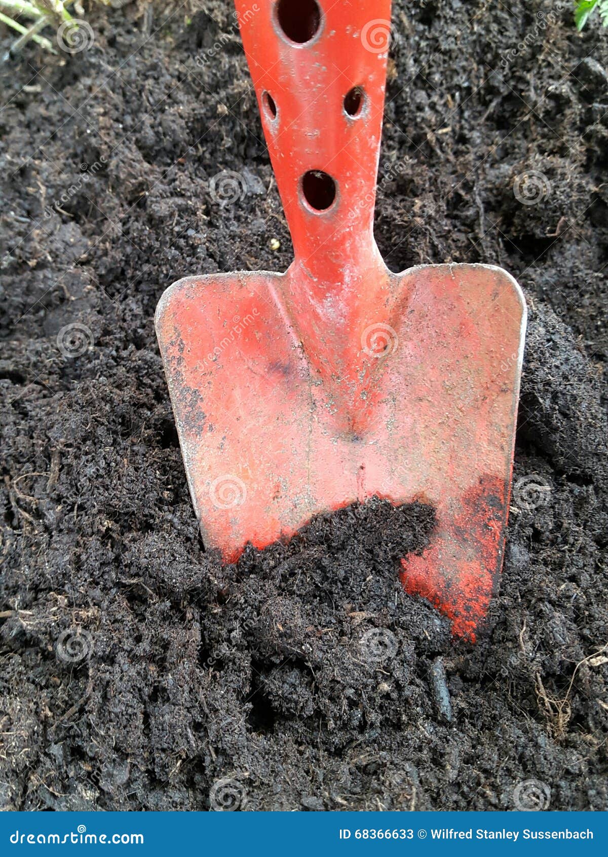 Garden shovel in dirt stock image. Image of spade, garden 68366633