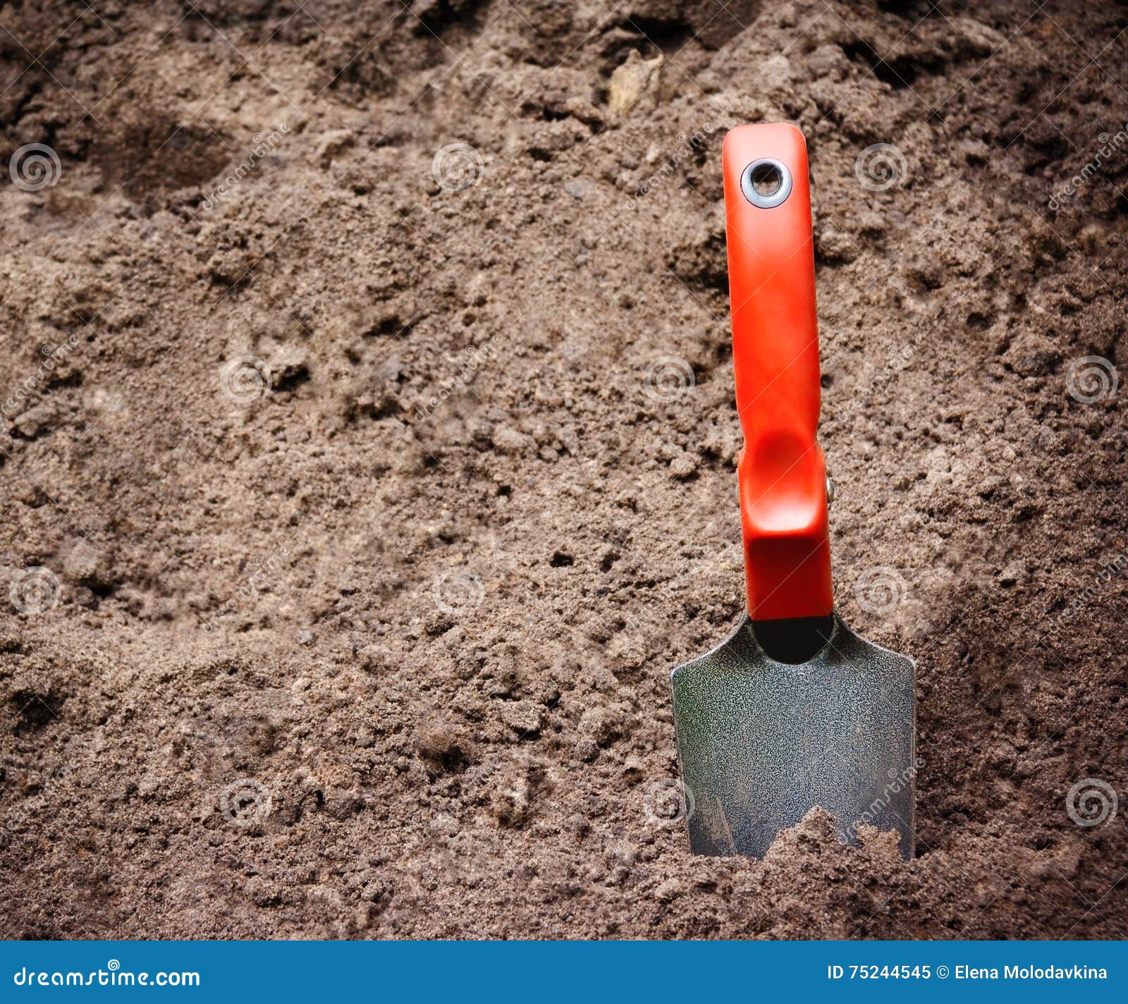 Garden Shovel in the Dirt. Selective Focus on Shovel Stock Image