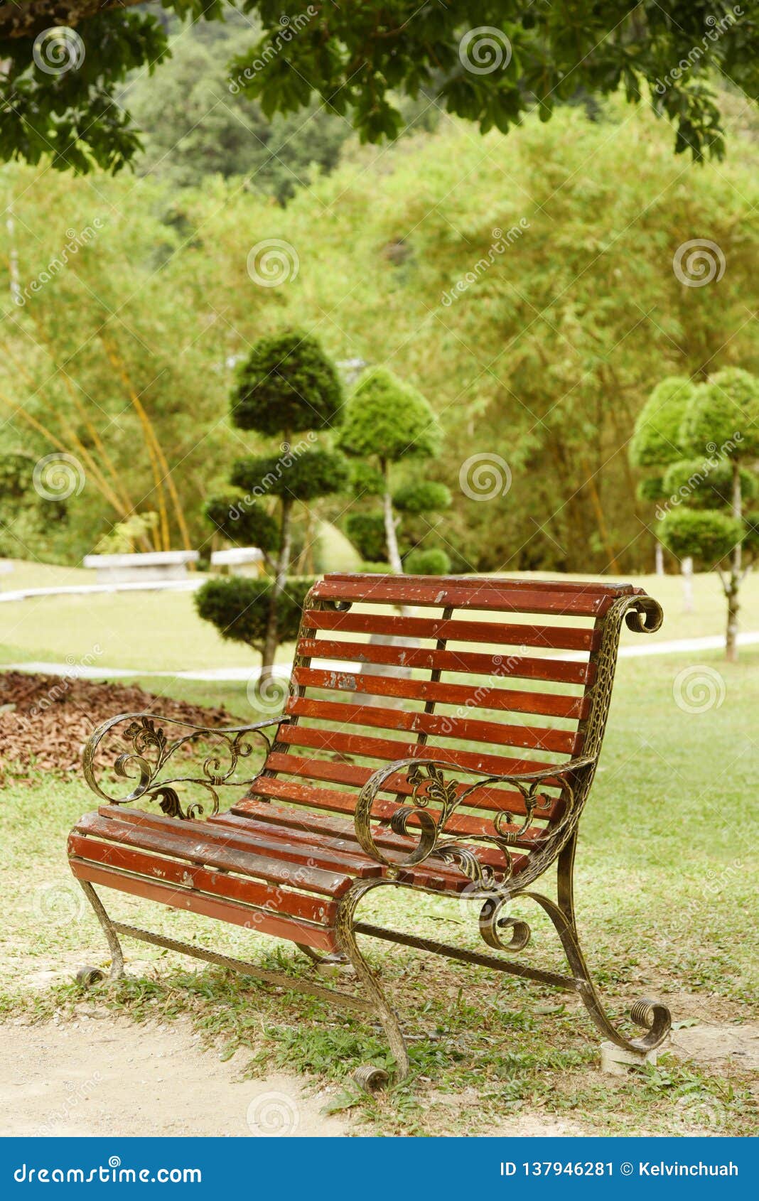 Garden stock image. Image of furniture, vacation, backgrounds - 137946281