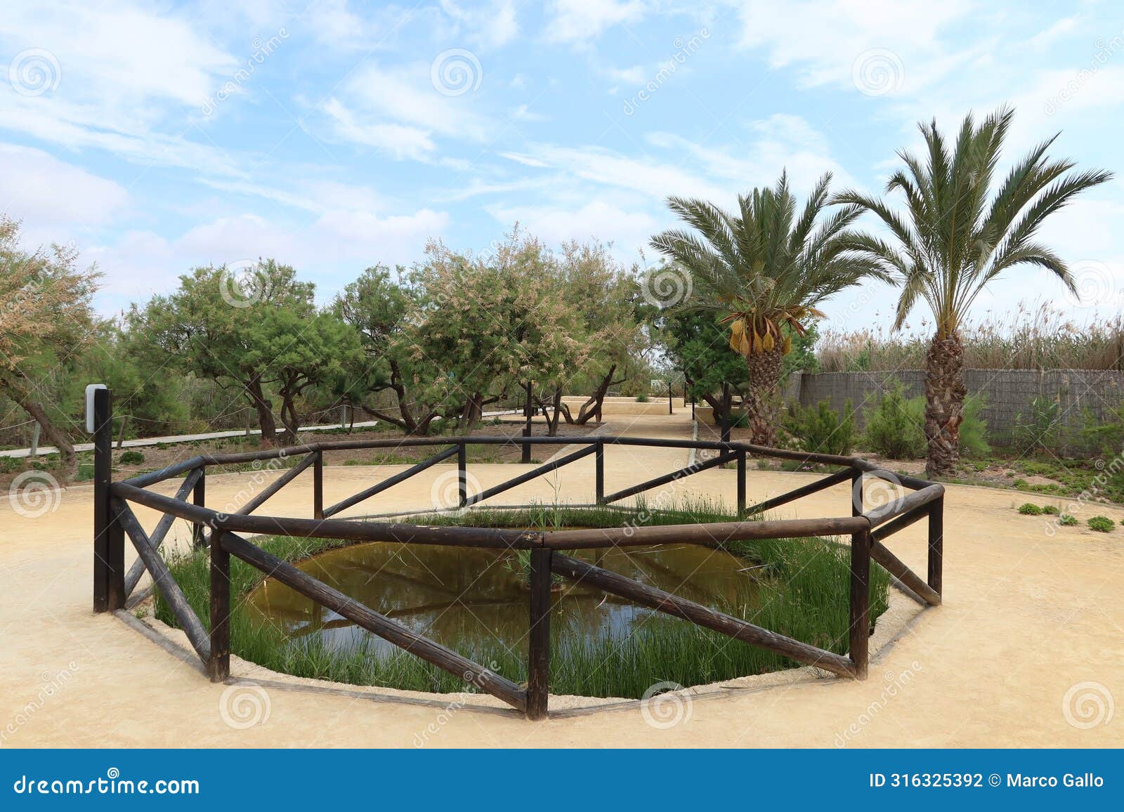 garden with a small lagoon in the interpretation center of the el hondo natural park