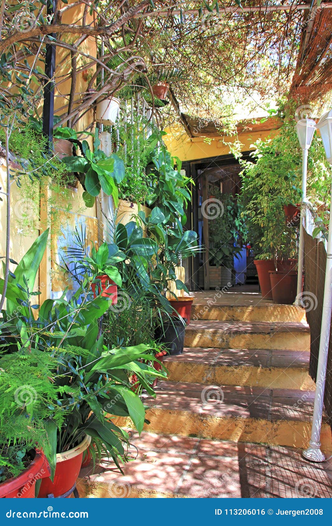 Garden in spain stock photo. Image of garden, spain 113206016