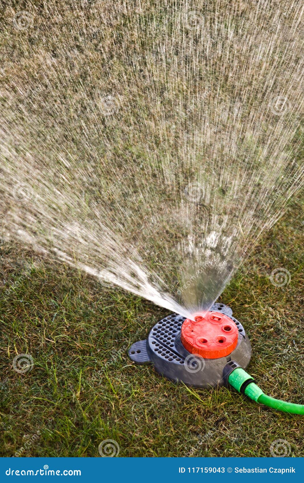 Garden Sprinkler Detailed Background Image Stock Image - Image of drop