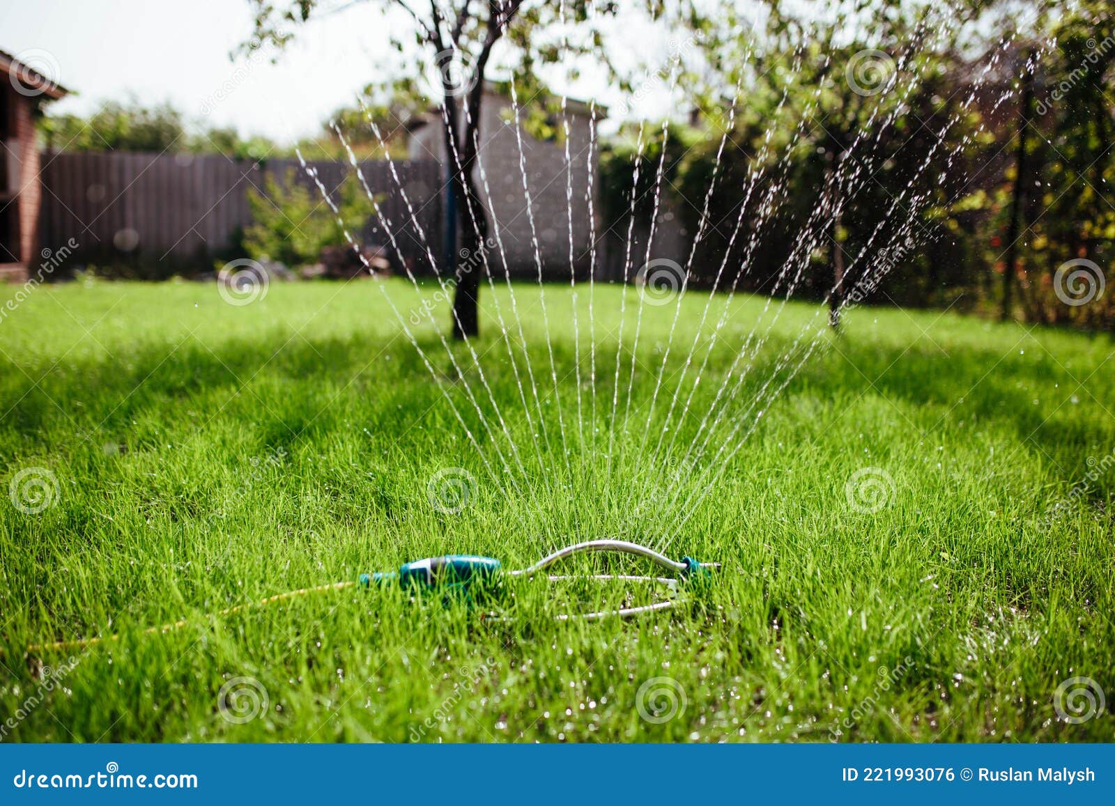 garden sprinkler irrigates the lawn, gardening and landscaping concept